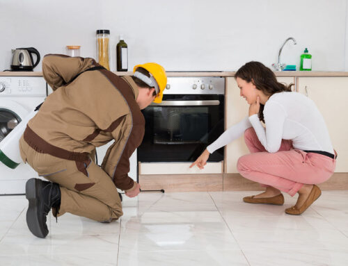 Signs Of Mice In The House During Winter And What To Do About It