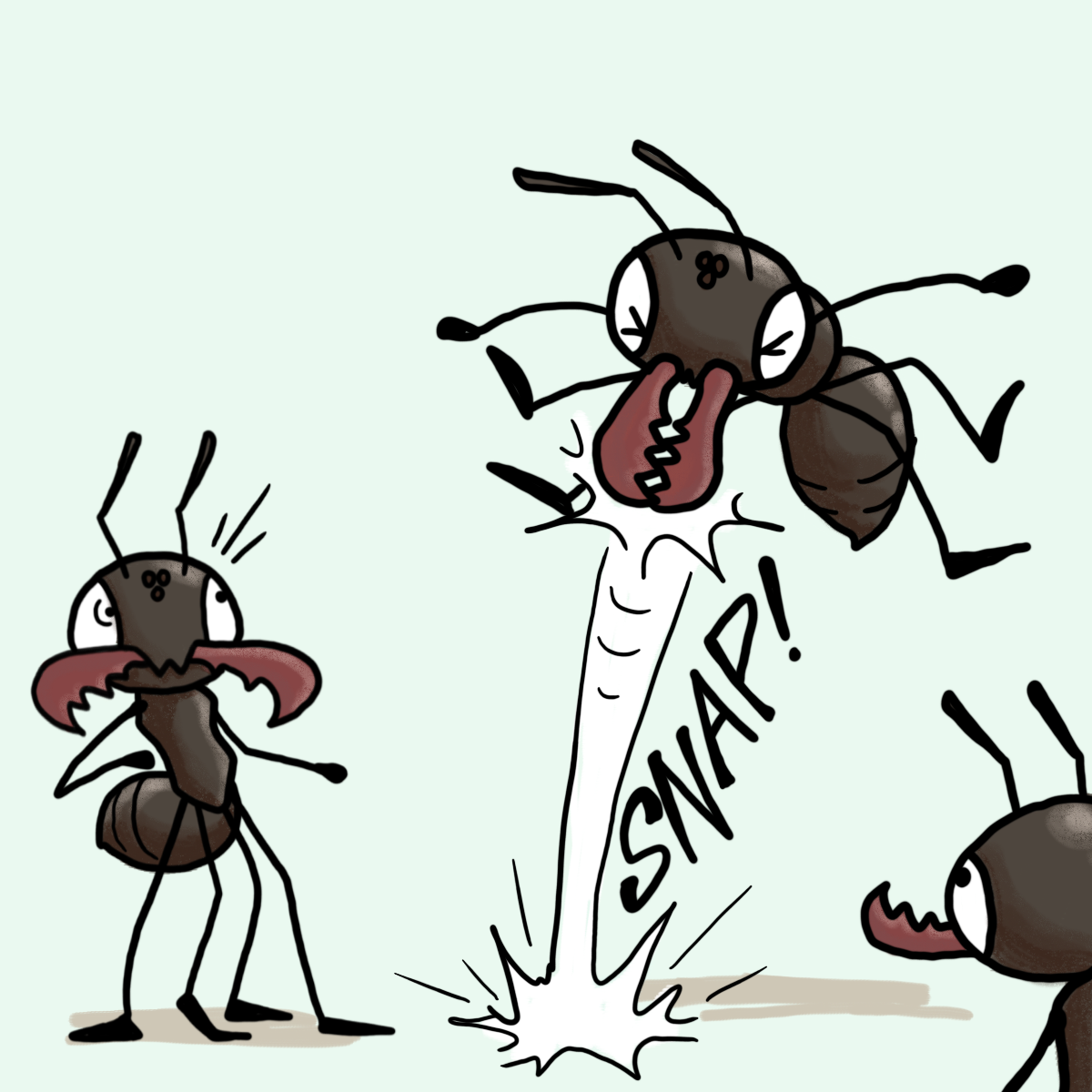 Trap Jaw Ant Cartoon