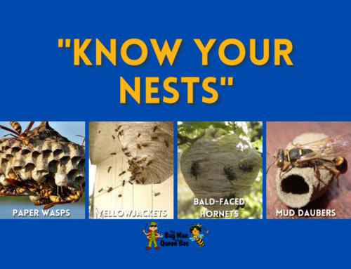 Know Your Nests