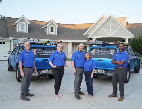 Why Local Pest Control Companies Are Better Than National Chains