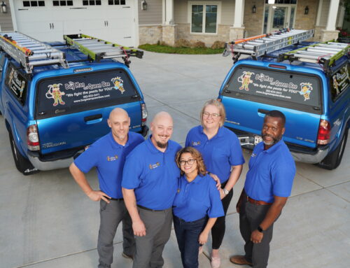 Picking the Right Pest Control Company in Milwaukee: Top Questions To Ask