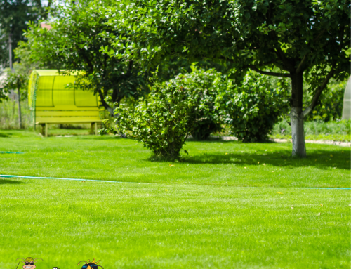 Keep Your Milwaukee Lawn Safe This Summer With Tick Control Services