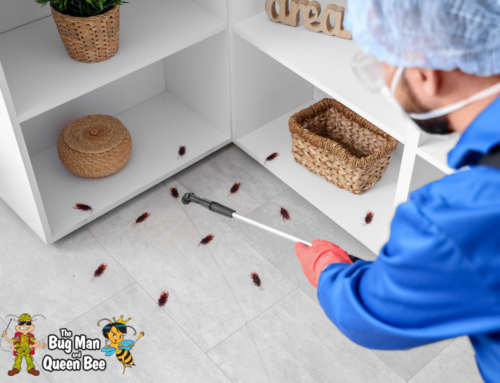 Are Residential Pest Control Services Needed in Winter?